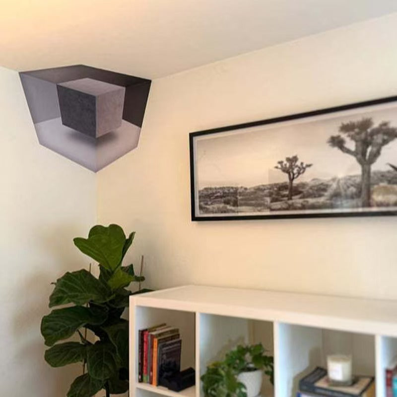 3D Optical Illusion Wall Art